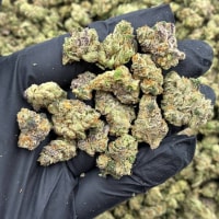 DIESEL FUEL SM ⛽️   view 1