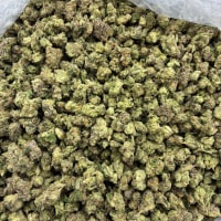 DIESEL FUEL SM ⛽️   view 2