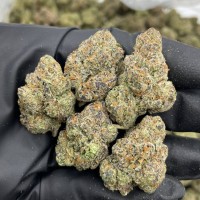 BLUE CANDY LEMONS INDOORS 🍭🍋  view 1