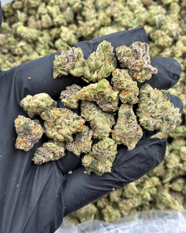 DIESEL FUEL SM ⛽️  